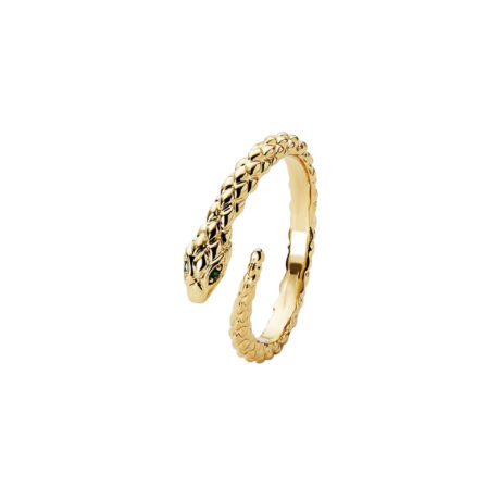 Golden snake wrapping ring, women's light luxury, niche high-end fashion, personalized opening ring, retro index finger ring