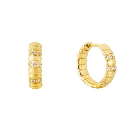 Snake bone pattern ear buckle